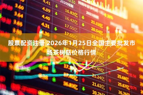 股票配资注册 2026年1月25日全国主要批发市场茶树菇价格行情